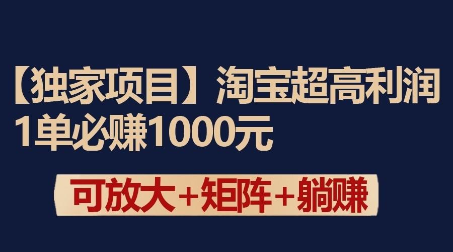 独家淘宝超高利润项目：1单必赚1000元，可放大可矩阵操作-康仁安资源