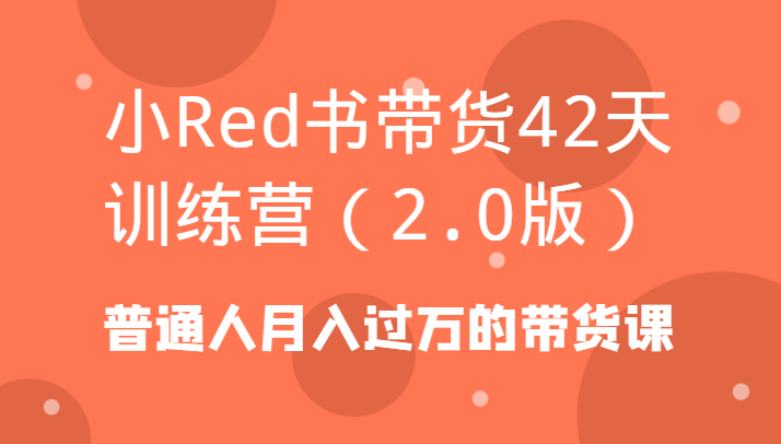 小Red书带货42天训练营(2.0版)普通人月入过万的带货课-康仁安资源