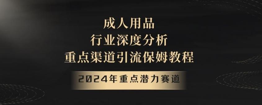 2024年重点潜力赛道，成人用品行业深度分析，重点渠道引流保姆教程【揭秘】-康仁安资源