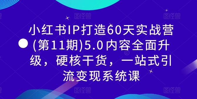 小红书IP打造60天实战营(第11期)5.0​内容全面升级，硬核干货，一站式引流变现系统课-康仁安资源