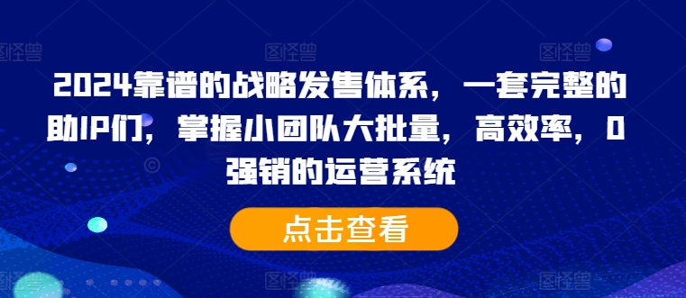 2024靠谱的战略发售体系，一套完整的助IP们，掌握小团队大批量，高效率，0 强销的运营系统-康仁安资源