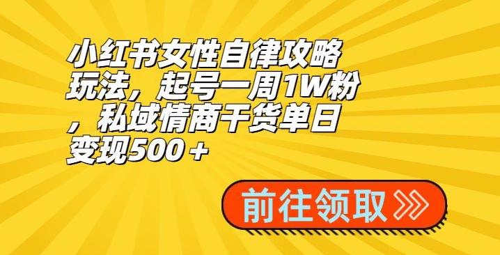小红书女性自律攻略玩法，起号一周1W粉，私域情商干货单日变现500＋-康仁安资源