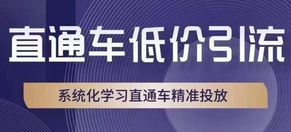 直通车低价引流课，系统化学习直通车精准投放-康仁安资源