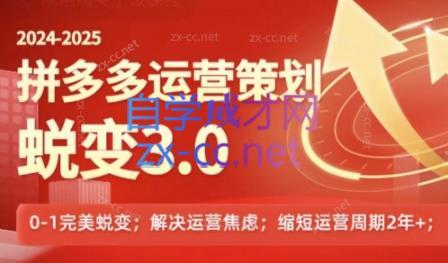 大力老师·2024拼多多运营策略蜕变3.0-康仁安资源