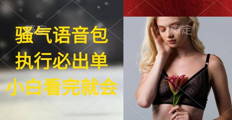 (9589期)执行就出单，日入2000+，超火骚气语音包，小白看完课程就能马上实操-康仁安资源