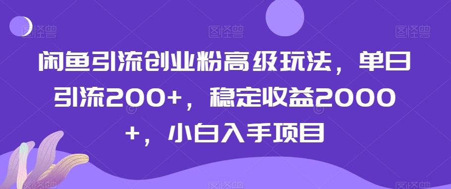 闲鱼引流创业粉高级玩法，单日引流200+，稳定收益2000+，小白入手项目-康仁安资源