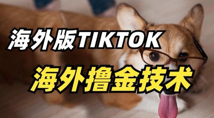 抖音海外版tiktok撸金技术，这个风口行业，赚钱真的不难【揭秘】-康仁安资源