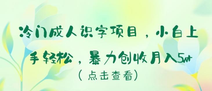 冷门成人识字项目，小白上手轻松，暴力创收月入5w+【揭秘】-康仁安资源