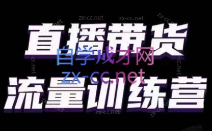 婉婉·直播带货课程系列合集(更新8月)-康仁安资源