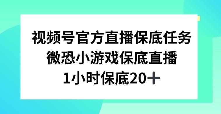 视频号直播任务，微恐小游戏，1小时20+【揭秘】-康仁安资源