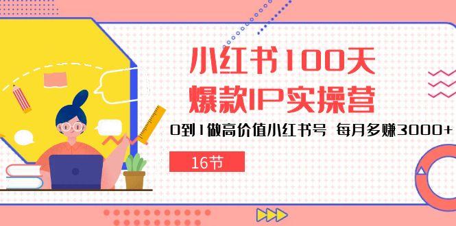 小红书100天-爆款IP实操营，0到1做高价值小红书号 每月多赚3000+(16节-康仁安资源