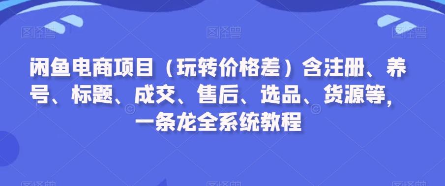 闲鱼电商项目(玩转价格差)含注册、养号、标题、成交、售后、选品、货源等，一条龙全系统教程-康仁安资源