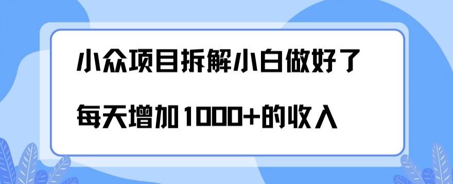 小众项目拆解，小白做好了每天可增加1000多的收入-康仁安资源