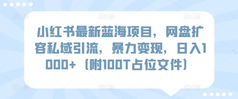 小红书最新蓝海项目，网盘扩容私域引流，暴力变现，日入1000+(附100T占位文件)【揭秘】-康仁安资源