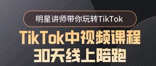 TikTok中视频课程30天线上陪跑，明星讲师带你玩转TikTok-康仁安资源