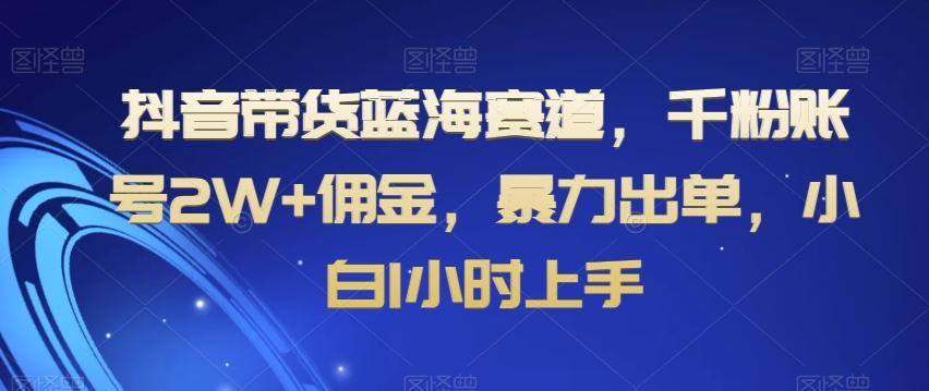 抖音带货蓝海赛道，千粉账号2W+佣金，暴力出单，小白1小时上手【揭秘】-康仁安资源