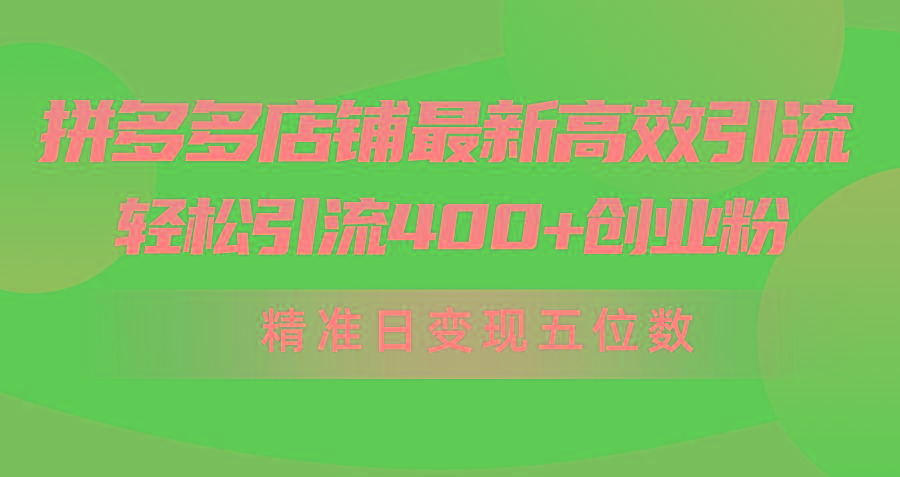 (10041期)拼多多店铺最新高效引流术，轻松引流400+创业粉，精准日变现五位数！-康仁安资源