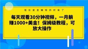 每天观看30分钟视频，一月躺赚1000+美金！保姆级教程，可放大操作【揭秘】-康仁安资源