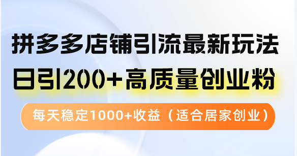 拼多多店铺引流最新玩法，日引200+高质量创业粉，每天稳定1000+收益(...-康仁安资源