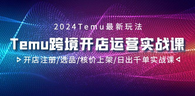 2024Temu跨境开店运营实战课，开店注册/选品/核价上架/日出千单实战课-康仁安资源