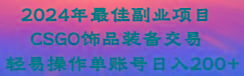 2024年最佳副业项目 CSGO饰品装备交易 轻易操作单账号日入200+-康仁安资源