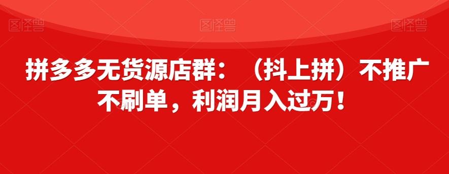 拼多多无货源店群：（抖上拼）不推广不刷单，利润月入过万！【揭秘】-康仁安资源