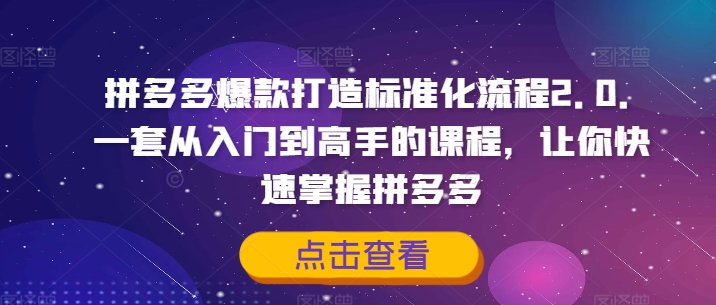 拼多多爆款打造标准化流程2.0，一套从入门到高手的课程，让你快速掌握拼多多-康仁安资源