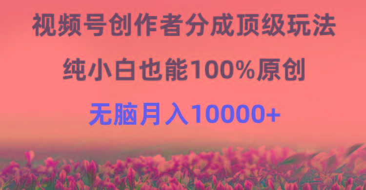 (9608期)视频号创作者分成顶级玩法，纯小白也能100%原创，无脑月入10000+-康仁安资源