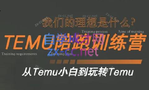 苗苗·拼多多跨境（temu）课程-康仁安资源