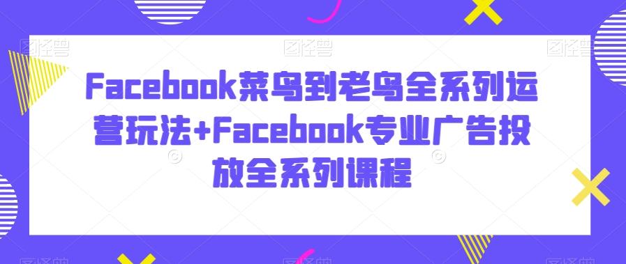 Facebook菜鸟到老鸟全系列运营玩法+Facebook专业广告投放全系列课程-康仁安资源