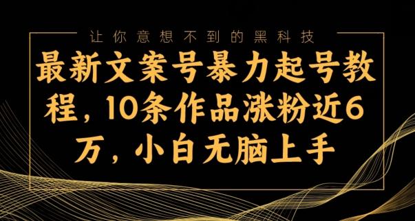 最新文案号暴力起号教程，10条作品涨粉近6万，小白无脑上手-康仁安资源