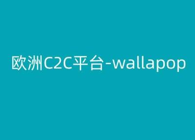 欧洲C2C平台-wallapop-kim跨境电商教程-康仁安资源