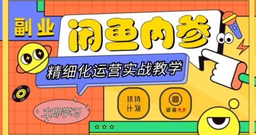 闲鱼精细化运营入门+高阶实战教学，从底层逻辑到轻松变现，多维度玩转闲鱼副业-康仁安资源