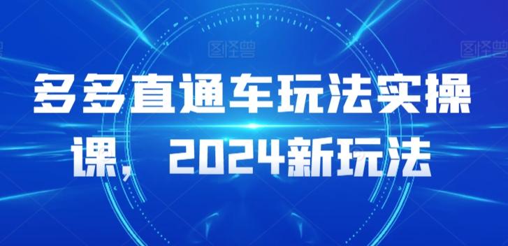 多多直通车玩法实操课，2024新玩法-康仁安资源