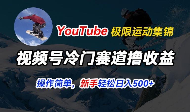 视频号冷门赛道撸收益，YouTube搬运极限运动集锦，暴力起号，操作简单流量高，轻松日入5张【揭秘】-康仁安资源