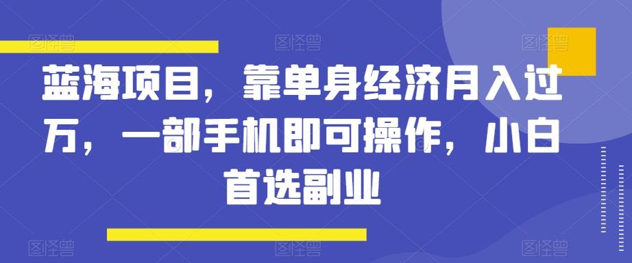 蓝海项目，靠单身经济月入过万，一部手机即可操作，小白首选副业【揭秘】-康仁安资源