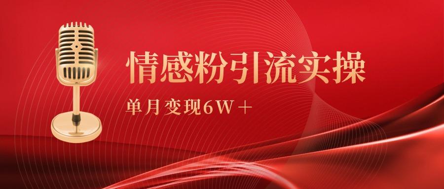 (9473期)单月变现6w+，情感粉引流变现实操课-康仁安资源