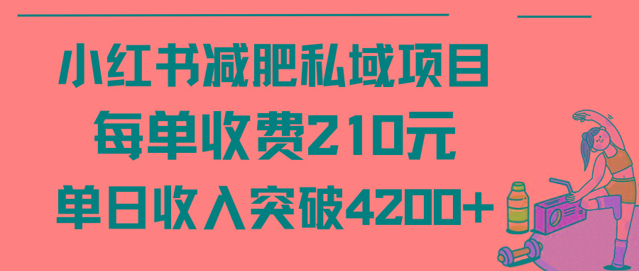 (9466期)小红书减肥私域项目每单收费210元单日成交20单，最高日入4200+-康仁安资源