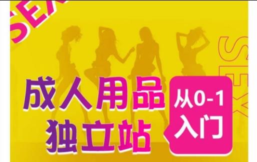 成人用品独立站从0-1入门，成品独立站运营全流程教学，七大好卖成品独立站推荐-康仁安资源