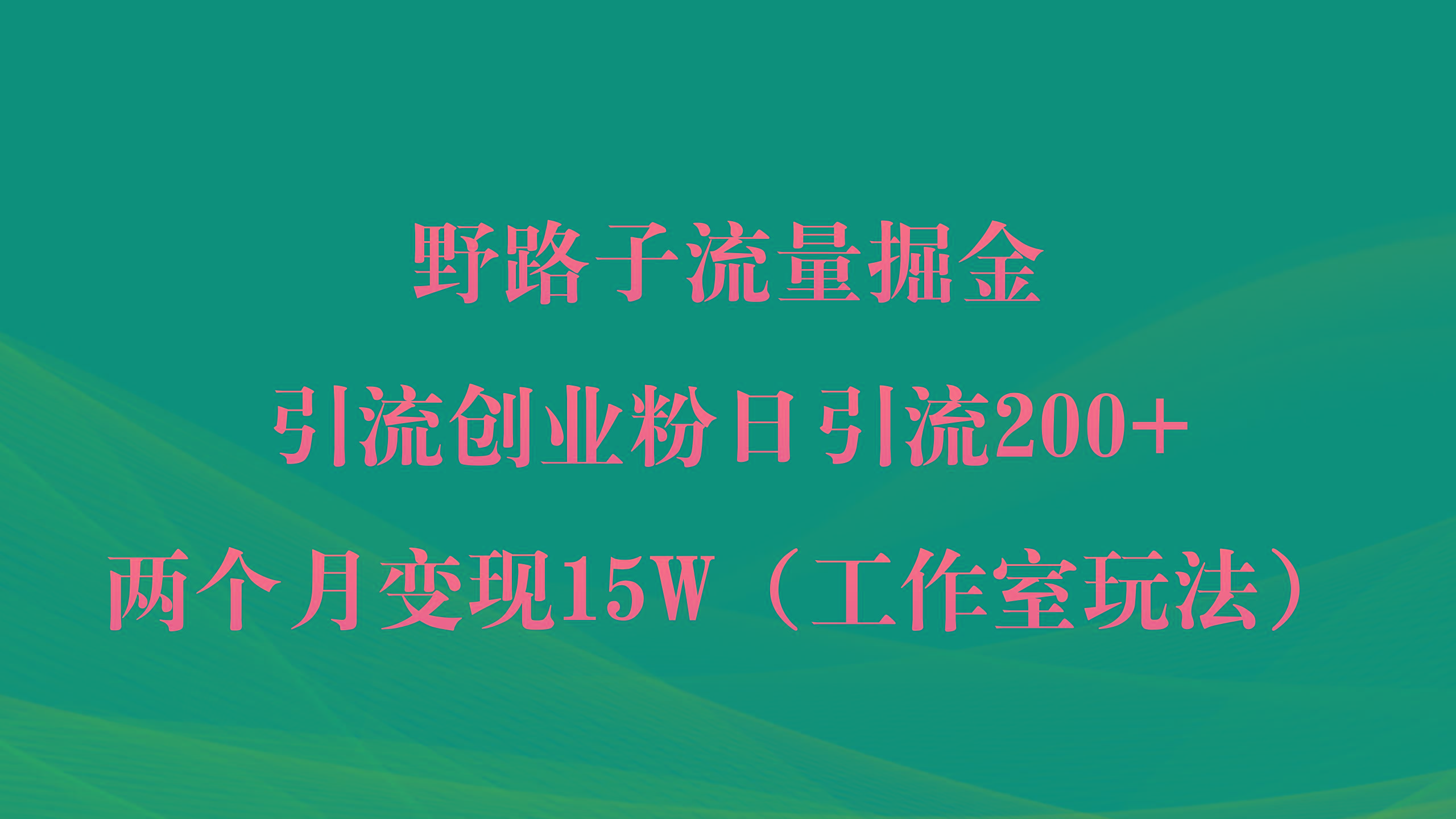 (9513期)野路子流量掘金，引流创业粉日引流200+，两个月变现15W(工作室玩法))-康仁安资源