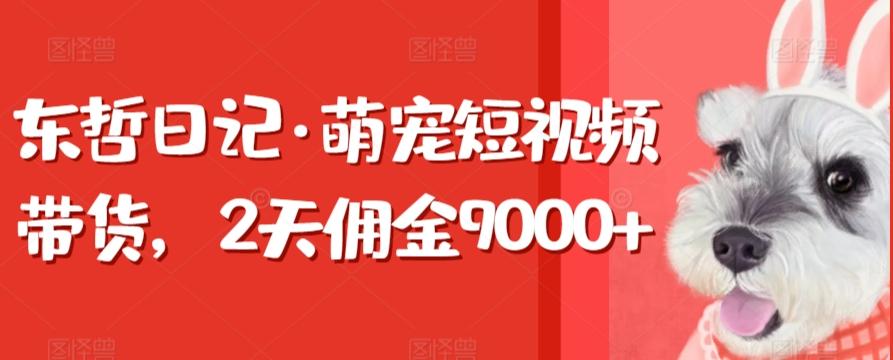 东哲日记·萌宠短视频带货，2天佣金9000+-康仁安资源