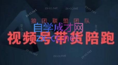 狼团联盟·2024视频号带货-康仁安资源