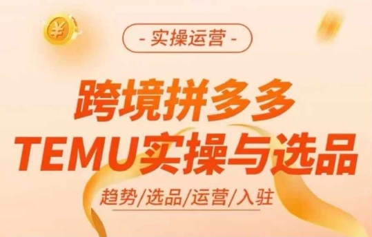 跨境拼多多TEMU实操与选品，多多temu跨境选品运营实操-康仁安资源