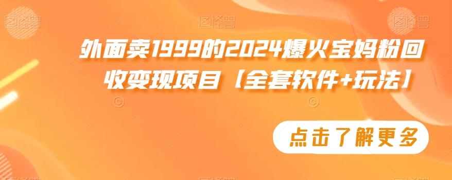 外面卖1999的2024爆火宝妈粉回收变现项目【全套软件+玩法】【揭秘】-康仁安资源