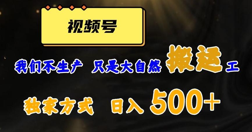 视频号轻松搬运日赚500+，一个1分钟1条原创视频【揭秘】-康仁安资源