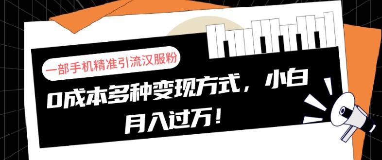 一部手机精准引流汉服粉，0成本多种变现方式，小白月入过万！-康仁安资源