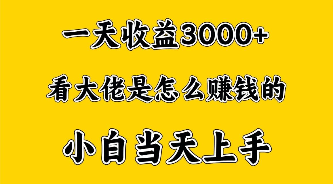 一天赚3000多，大佬是这样赚到钱的，小白当天上手，穷人翻身项目-康仁安资源