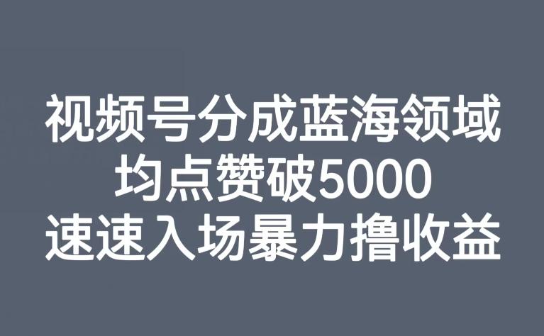 视频号分成蓝海领域，均点赞破5000，速速入场暴力撸收益-康仁安资源
