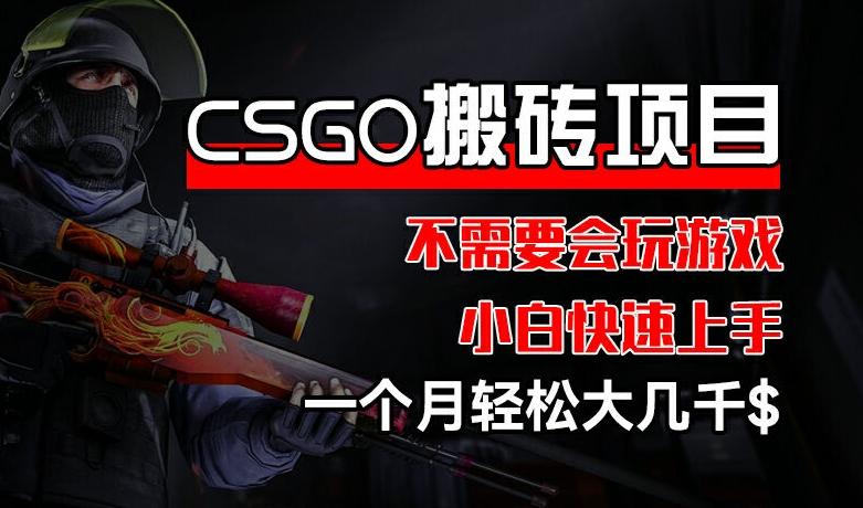 CSGO 装备搬砖项目，操作简单，不需要会玩游戏，小白也能快速上手，一个月轻松大几千【揭秘】-康仁安资源