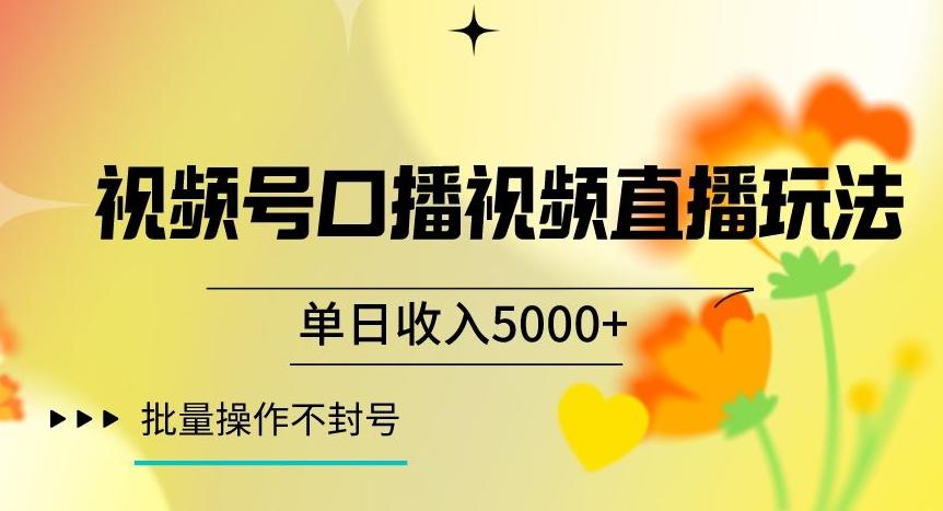 视频号囗播视频直播玩法，单日收入5000+，批量操作不封号【揭秘】-康仁安资源